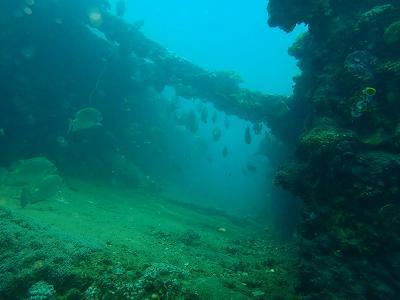P3100556.jpg