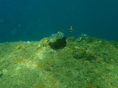 P3100591.jpg