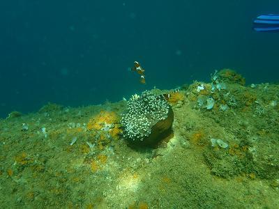 P3100592.jpg