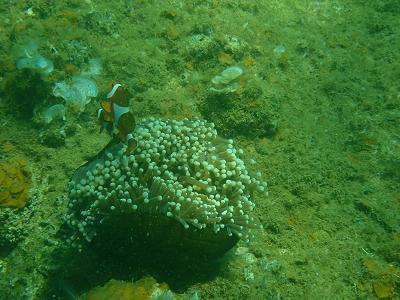 P3100595.jpg