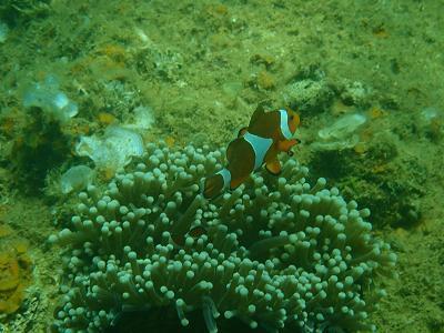 P3100601.jpg